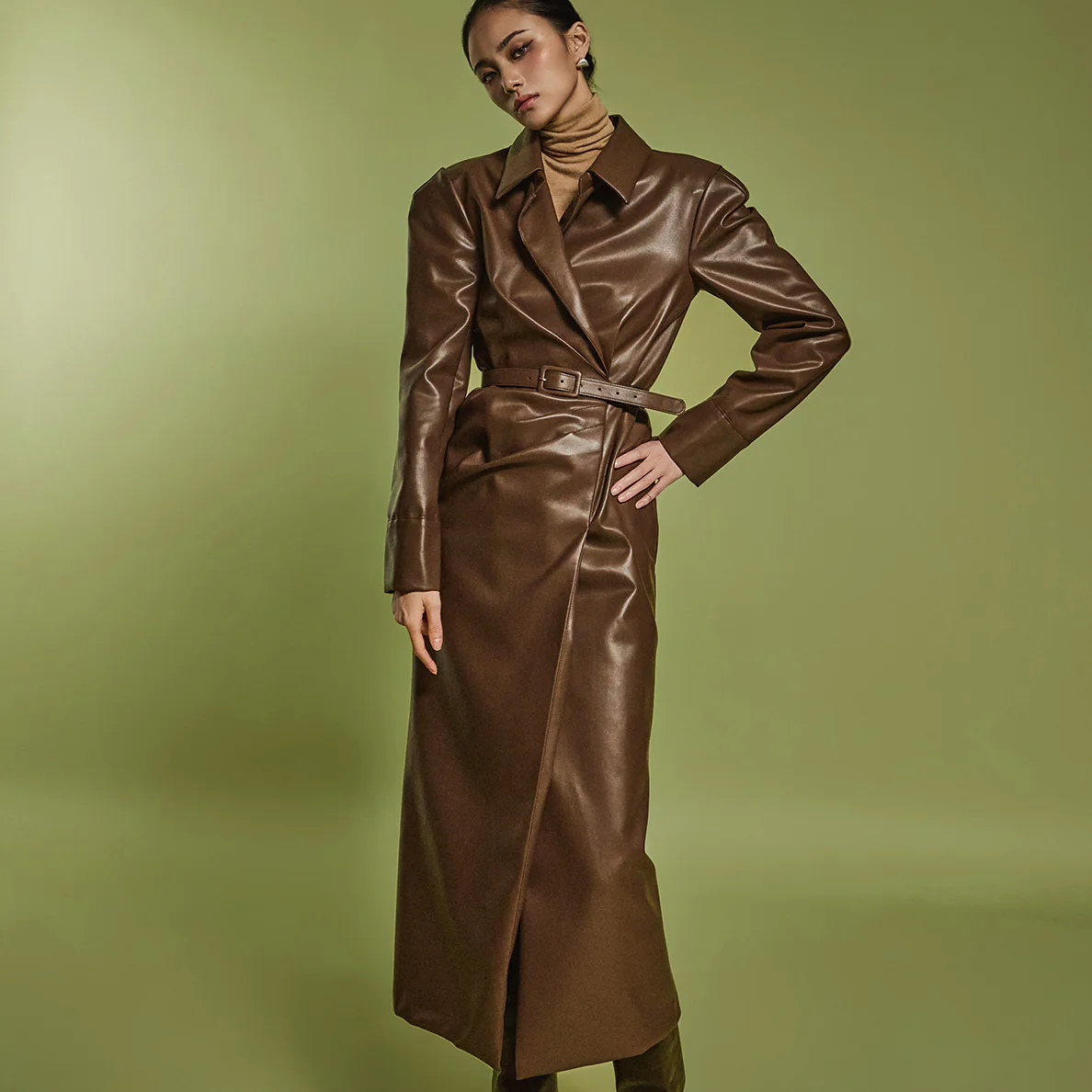 D5120 Leather Dress With Belt - Image 2
